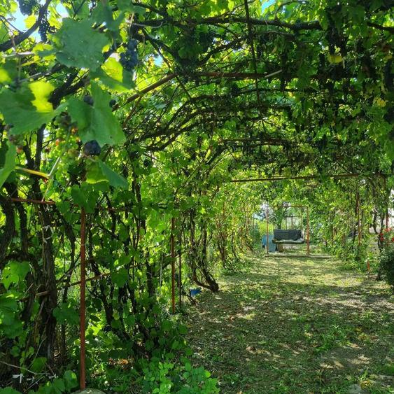 Vand Casa P+M in comuna Rachiti - 7