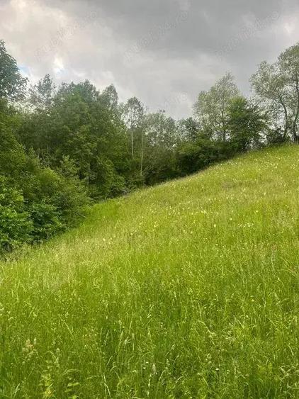 Teren intravilan 7426 mp de vanzare in Valea Doftanei utilitati la limita proprietatii - 1