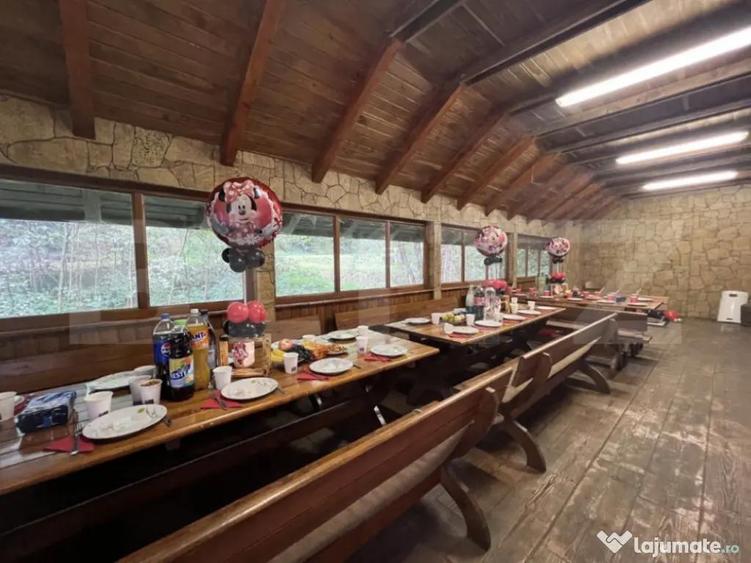 CABANA DACICA Refugiu premium la poalele Mun?ilor Dacici - 7