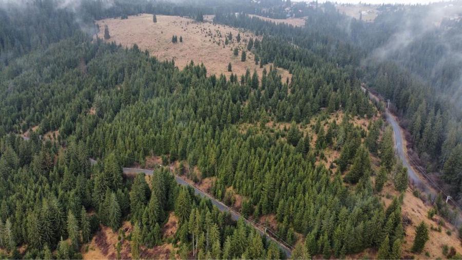 Vand Teren Belis aproape de lac - 7