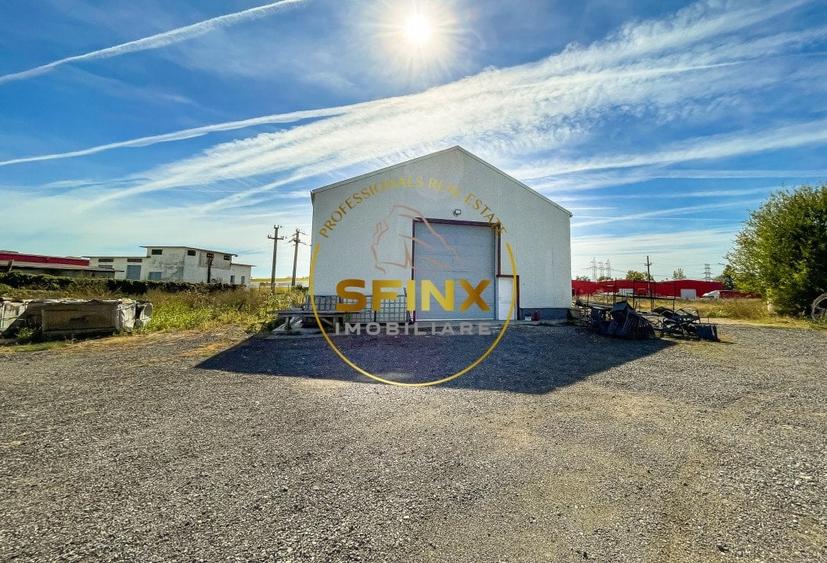 Spatiu logistic teren 12.452 mp hala 430 mp - 7