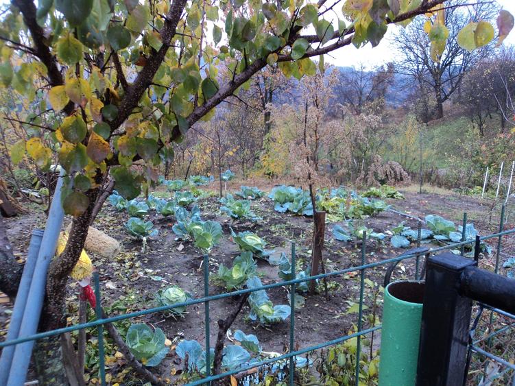 Casa cu 350 mp teren, la 5 km de oras - 9