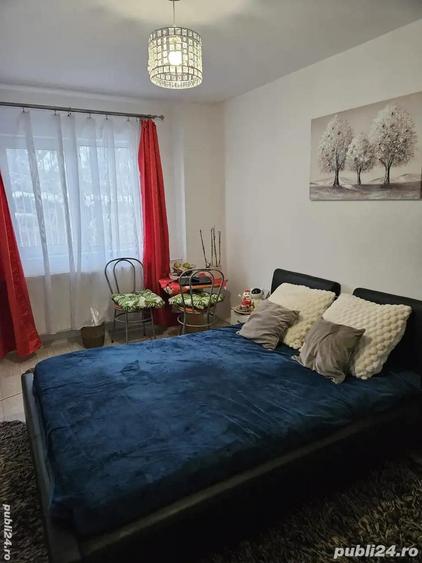 CI617 Telegrafului-Lorena,1 camera,Renovata - 9