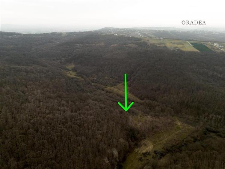 RECO . Teren extravilan . Saldabagiu de munte . - 2