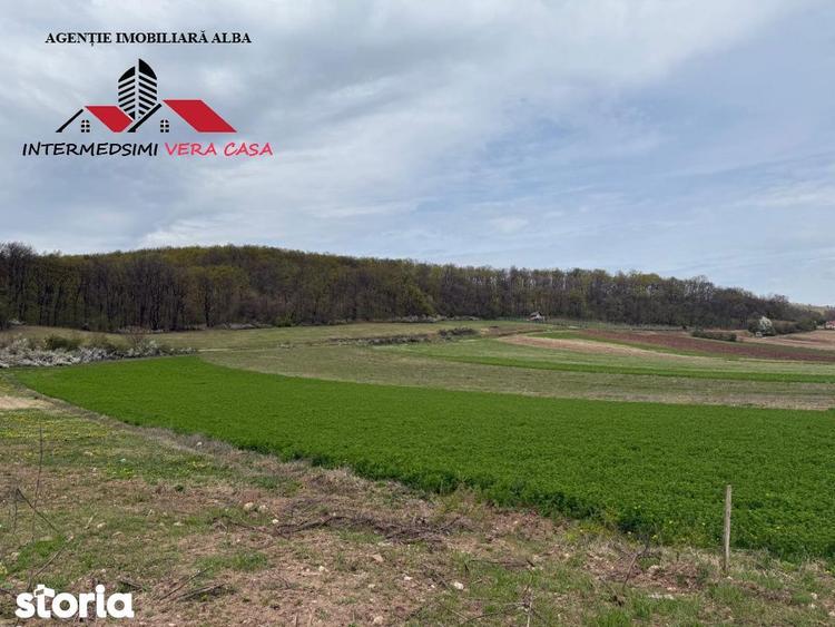 Teren intravilan 833 mp de vanzare in Ampoita Jud Alba - 4