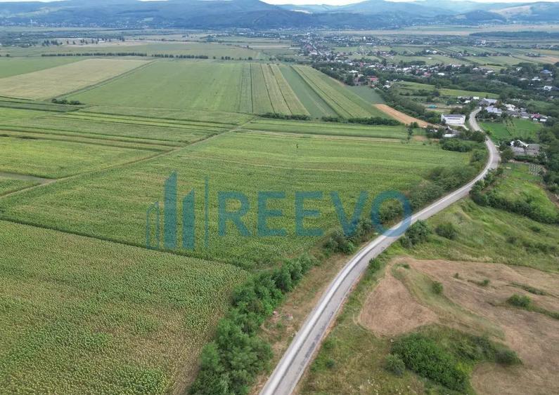 Teren de 3.600 mp Racova - 7