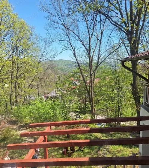 Vila spa?ioasa de vanzare in Breaza, 270 mp utili si teren de 6242 mp - 5