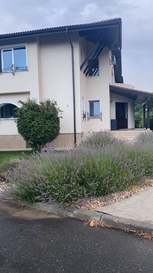 Vanzare casa Paradisul Verde Corbeanca - 16