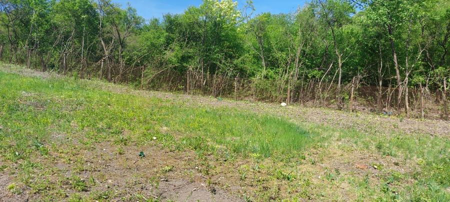 Teren Panoramic Premium - Vedere Superbă "Cetatea Devei" - 3