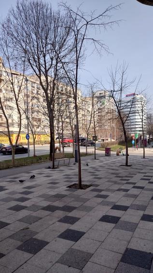 DECEBAL 3 CAMERE / PRIMA INCHIRIERE TOTUL NOU - 8