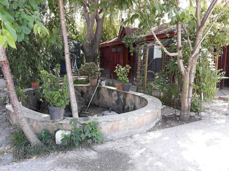 Inchiriez casuta de vacanta in zona Vladiceni, com. TOMESTI Jud. IASI - 8