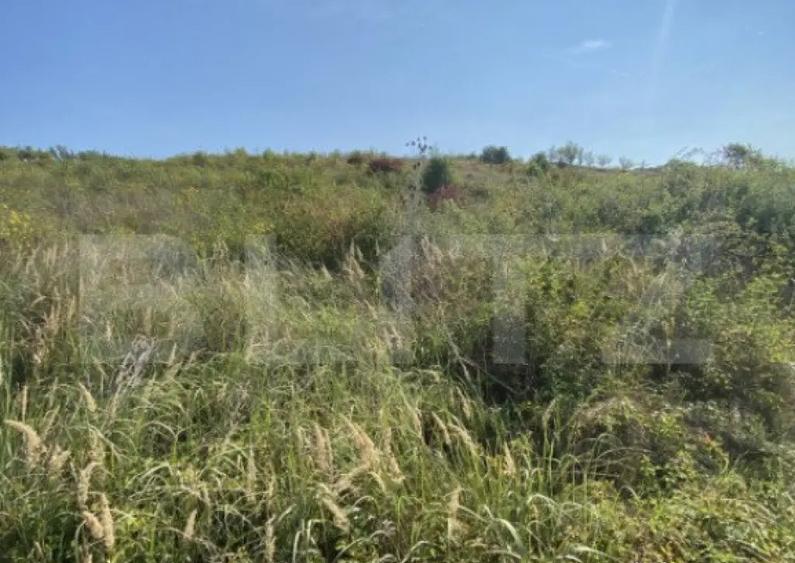 Teren intravilan/extravilan centura Zalau, 8200 mp - 2