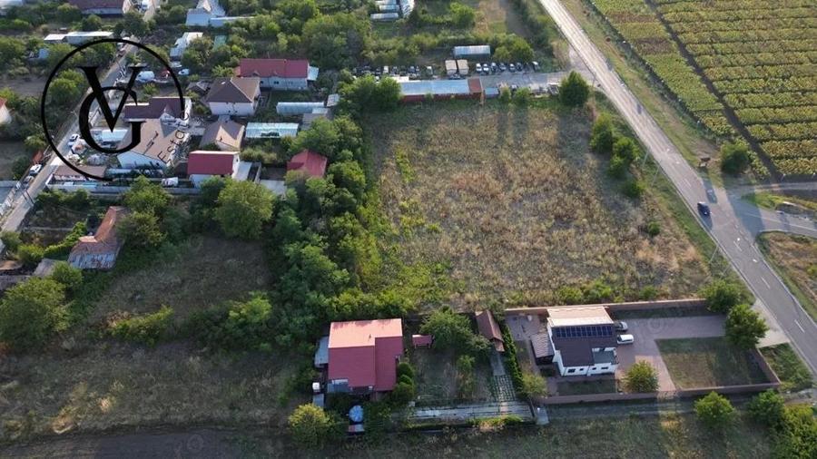 Teren intravilan -2679 mp-Branesti / Islaz - 3