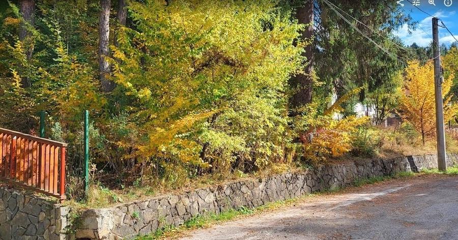 Teren Sinaia/Cumpatu - 2