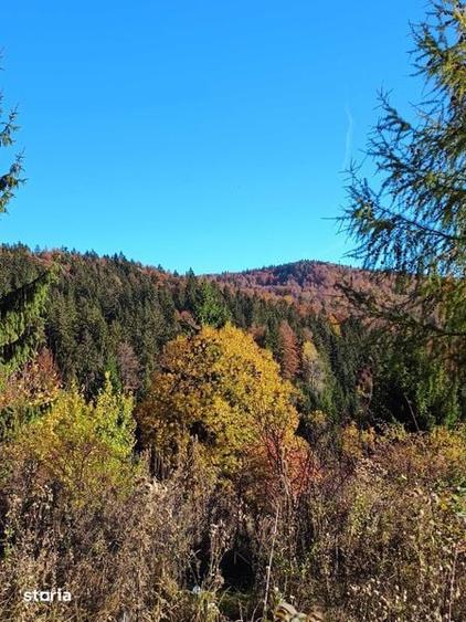 Teren la munte intre Breaza si Sinaia - 1