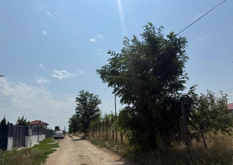 VALEA URSULUI, TEREN INTRAVILAN DE , LA MARGINE DE PADURE - 15