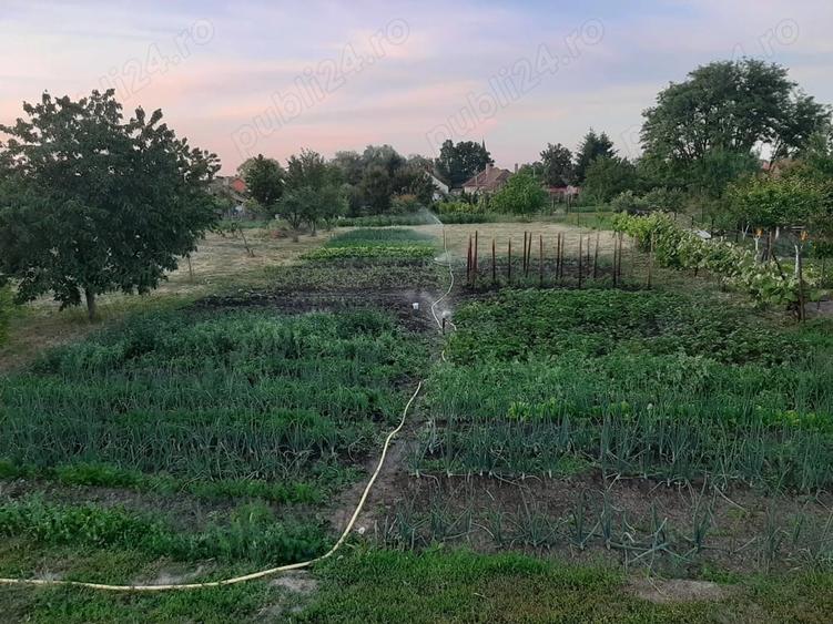 Casă cu 2 camere cu Teren 2000 Mp în Central