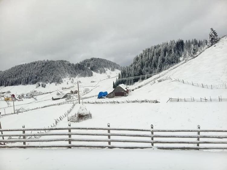 Teren Intravilan Fundata 1421Mp - 5