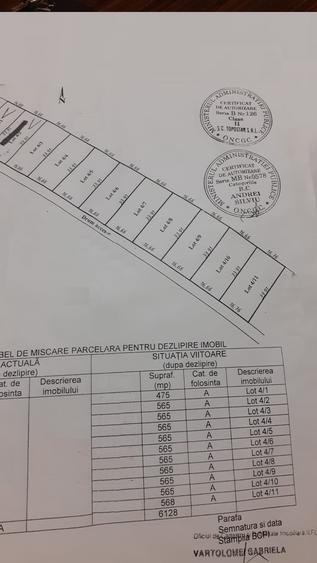 Teren Domnesti Teghes - 1