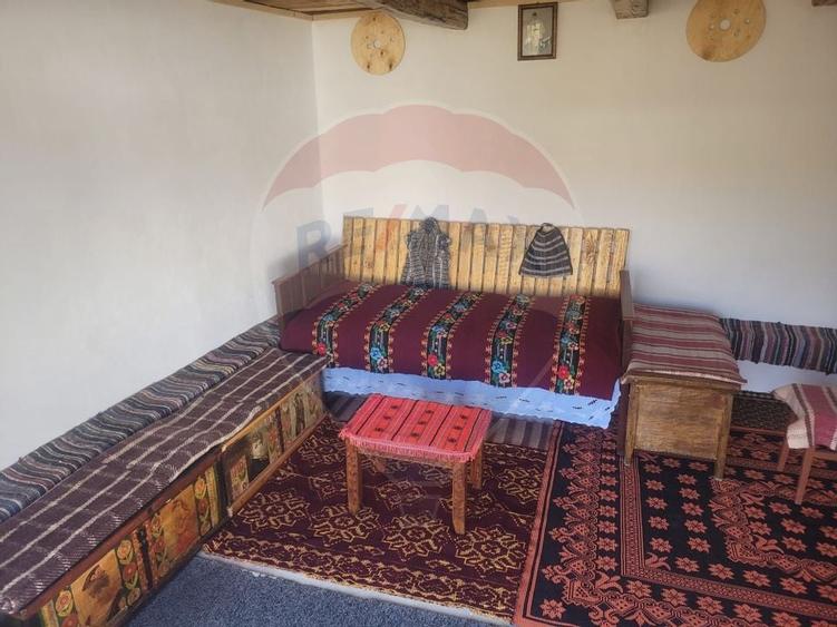 Vânzare casa la munte - zona turistica - Baia de Fier - 21