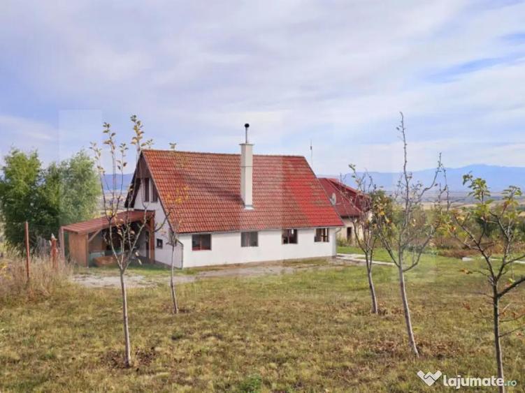 Casa de vanzare, sub padure, intr-un cadru natural deoseb - 14