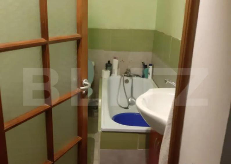 De vanzare casa 99 mp, teren 7,5 ari in Lazuri, Satu Mar - 3