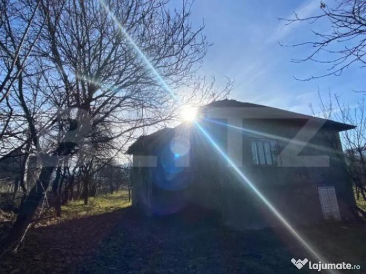 Casa de vanzare in Bistri?a-Bargaului cu 30 arii teren - 1