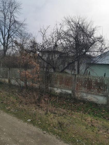 Casa batraneasca Zanoaga - 2002 mp teren - 3