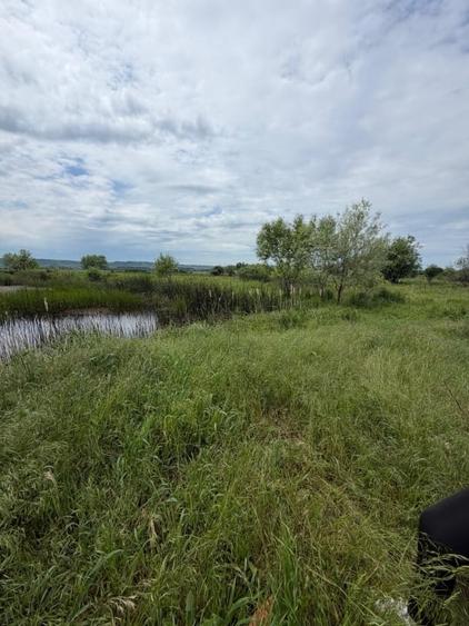 Teren agricol extravilan de 6000 mp, în Exterior Vest