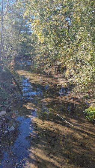 Teren intravilan 1781 mp în Băile Olănești – zonă turistică - 5