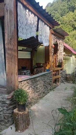 Casa din lemn de locuit - 1