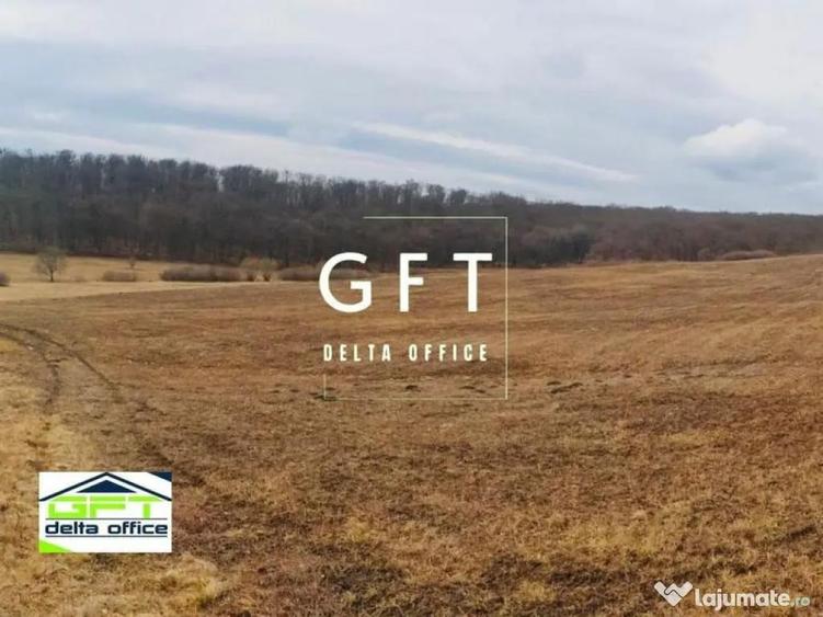 Teren extravilan , zona Valea Castailor - investitie prof... - 2