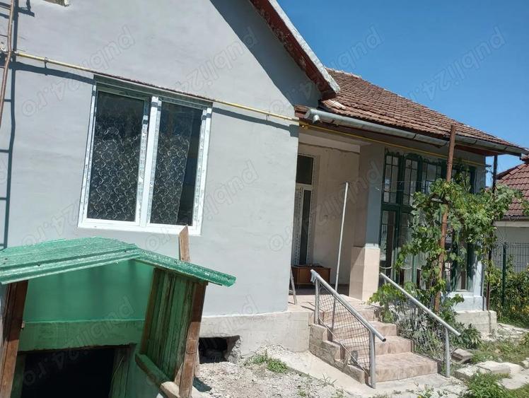 Vand casa dominanta - 2