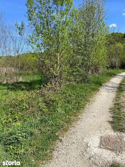 Teren Valea Moasei, Sebesul de Sus, cu utilitati apa, canal, curent - 1