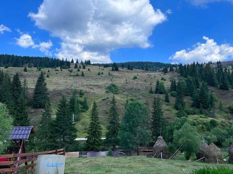 Teren extravilan Poiana Horea - 5