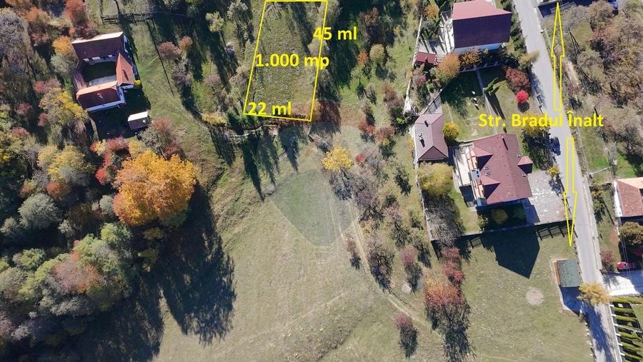 Teren de Vis in Bran - 1000mp Plat, Liniste Absoluta si Aer Curat - 3