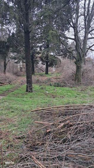 Teren metro voluntari - 3