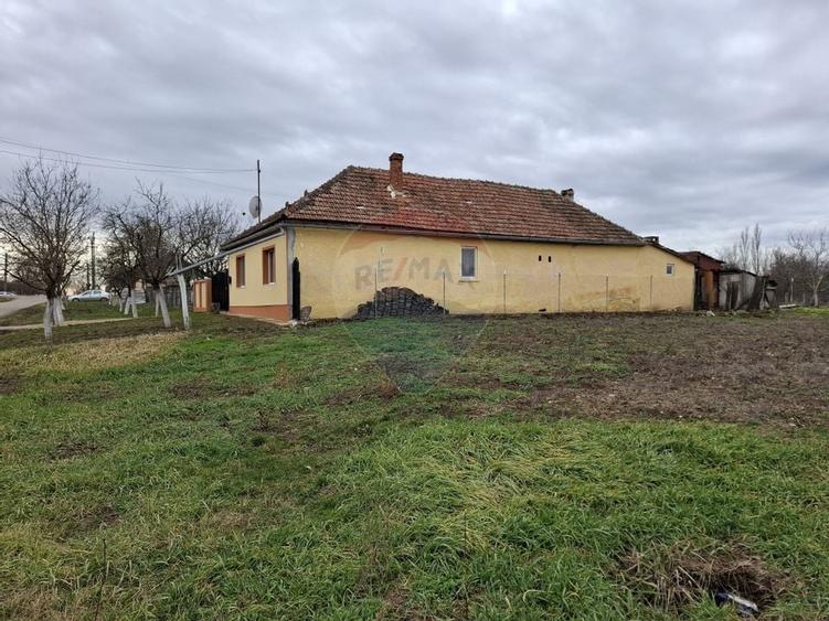 Teren intravilan 1,241mp Frumușeni, Arad - 5