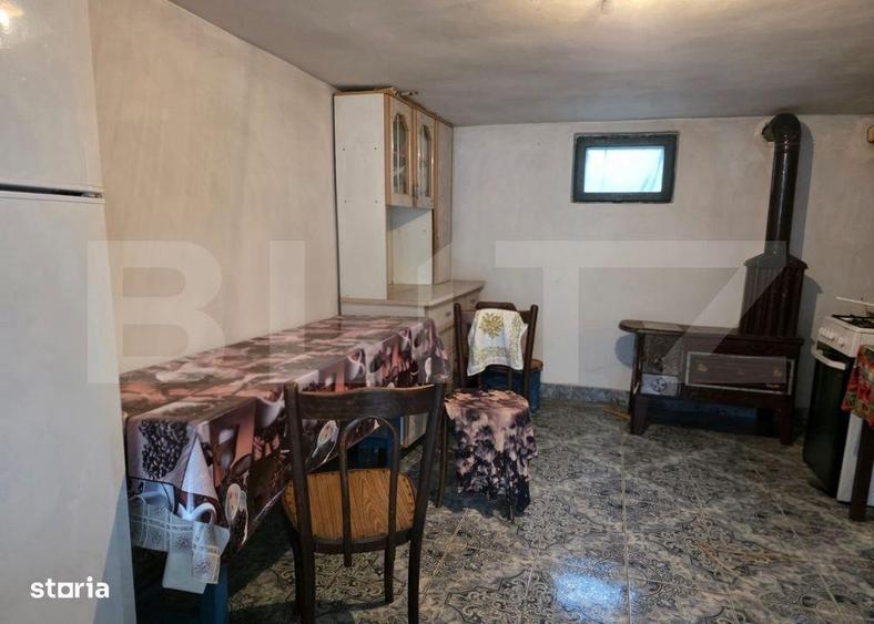 Casa cu teren generos si balta de pescuit Gaesti - 6