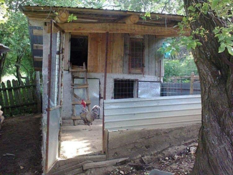 Casa de vanzare ?opotul Nou - 7