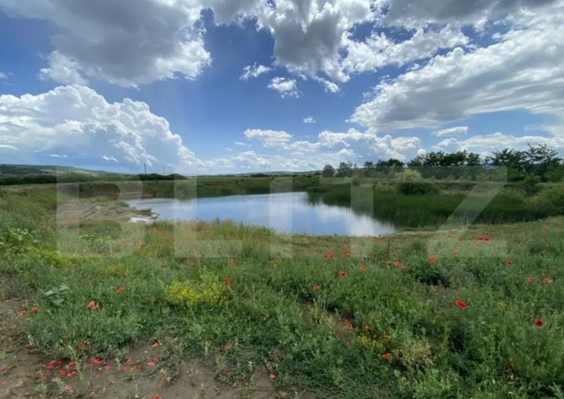 Teren extravilan 10000 mp, cu balta de peste, Salaj, Sarmasa - 4