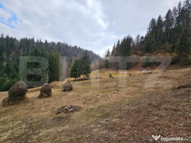 Teren extravilan 11.480 mp cu poten?ial intravilan Tra - 1