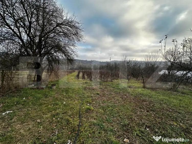 Casa 3 camere, zona Balanesti, teren 2792mp - 1