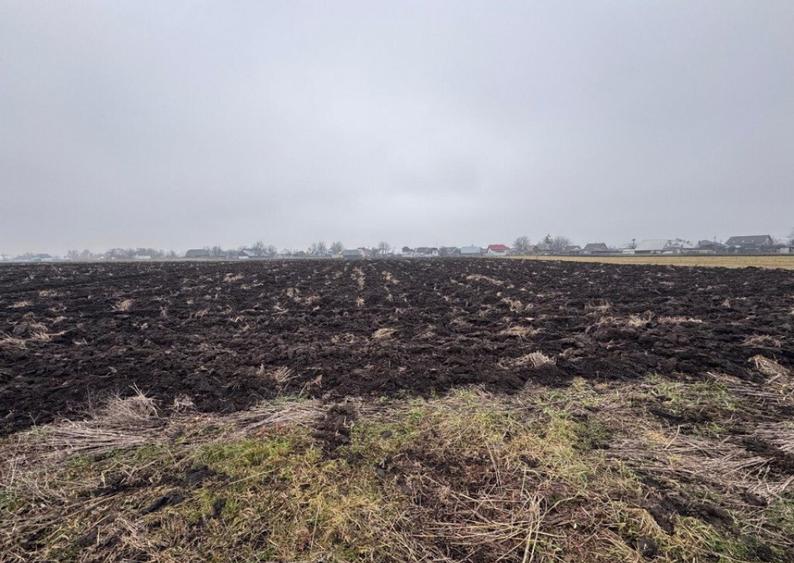 Teren intravilan, 3800mp , Fratautii vechi - 2