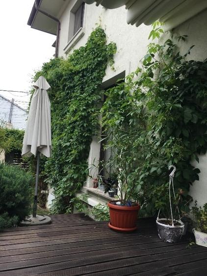 Casa de arhitect in Sector 1 - 3