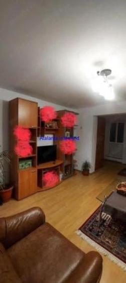 Vanzari case - vile - 4