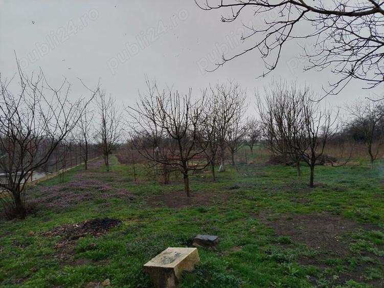 casa de vanzare - 14