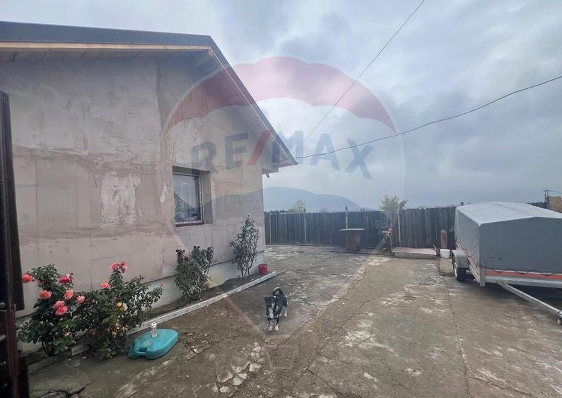 Casa 2 camere Carligele - 10