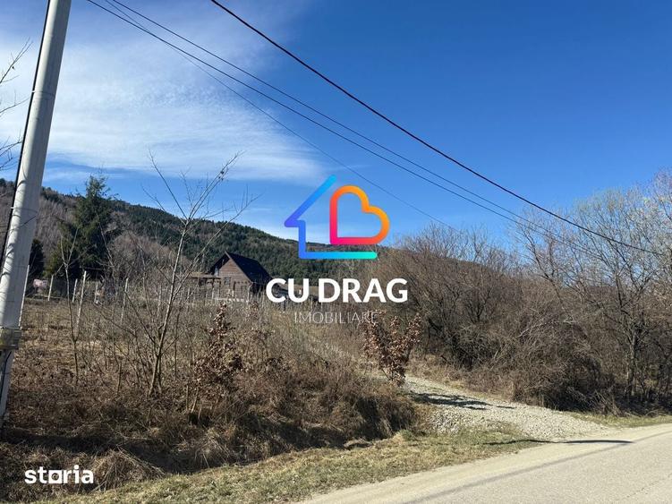 Teren intrevilan Sibiel cu toate utilitatile - 4