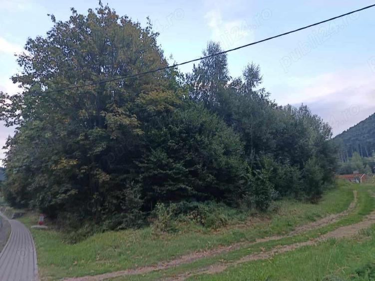 Teren inttravilan de 1000 mp de vanzare in Baile Tusnad, langa drumul principal, bun pt Hotel - 2